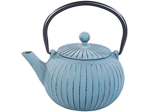 Rosenstein & Söhne Théière Asiatique en Fonte 0,5 Litre - Bleu