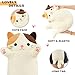 PEACH CAT 43.3