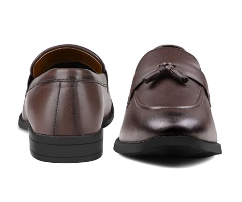 Image of LOUIS STITCH Men's Shoes Tassel Style Comfortable Moccasins for Men (RGMCPLTA)