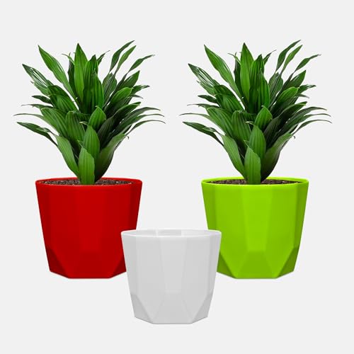 Image of YUCCABE ITALIA SHERA Hexa Plastic Planter Pot for Plants | Decorative Flower Pot | UV Protected Lightweight Indoor Outdoor Gamla for Home Decor, Balcony, Garden & Living Room