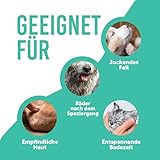 Petsly® Floh & Zeckenmittel für Hunde -500ml - Flohshampoo Hund & Zeckenschutz Hund & Katze, Flohmittel Hund mit Teebaumöl - Sensitives Hundeshampoo, Floh und Zeckenschutz für Hunde