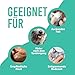 Petsly® Floh & Zeckenmittel für Hunde -500ml - Flohshampoo Hund & Zeckenschutz Hund & Katze, Flohmittel Hund mit Teebaumöl - Sensitives Hundeshampoo, Floh und Zeckenschutz für Hunde