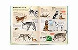 Das Hunde-Buch: Zu Besuch bei Hunden aus aller Welt