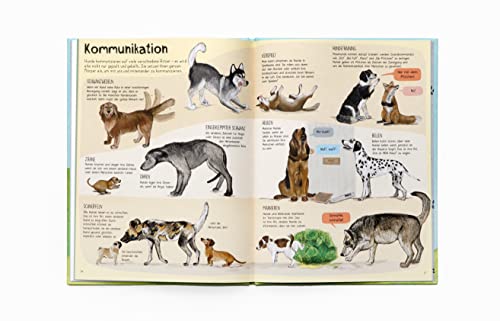 Das Hunde-Buch: Zu Besuch bei Hunden aus aller Welt