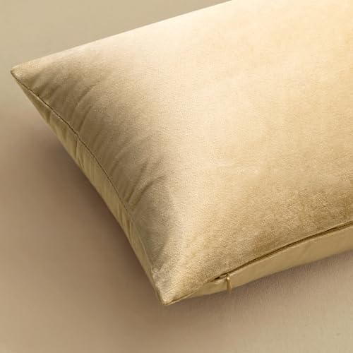 Image of MIULEE Velvet Throw Pillow Covers 20x20 Inch, Pack of 2 - Beige, Soft Solid Decorative Pillow Covers Cushion Cases Modern Luxury Home Decor for Spring Couch Sofa Bedroom Livingroom