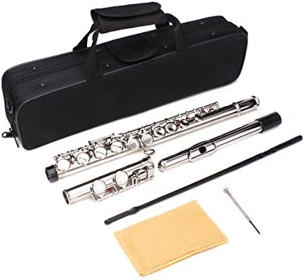 New New LADE Silver Plated 16 Closed Holes C Key Flute