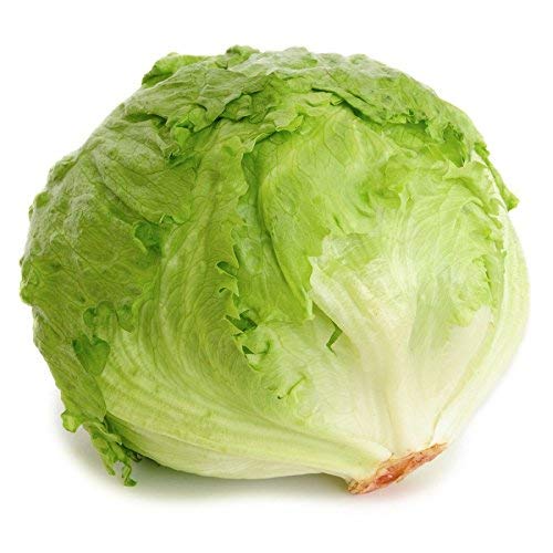 Green Gallery Lettuce Iceberg Fresh Vegetable Seeds for and Kitchen Outdoor Gardening Planting Farming