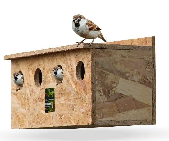 Skybeings Wooden Bird House for Small Sparrow No 4 Wall Mount Bird Cage 40 x 17 x 15 cm (B0CR95H4X1) Amazon Price History, Amazon Price Tracker