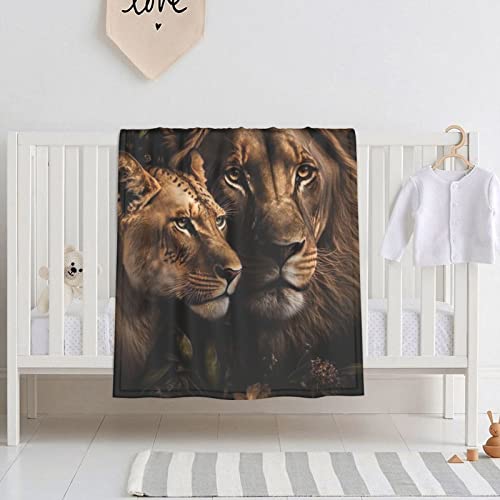 킢CI uPbg ѕz Q 􂦂 G| Ԃ _炩G v[g y gfree Size 100cm×125cm