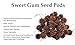 Sweet Gum Tree Seed Pods for Reptiles, Amphibians, Isopds, Terrarium, Bioactive Enclosures, 20 Count of Large 1