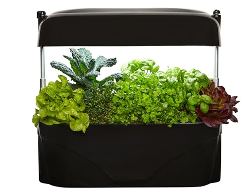 vegepod - Kitchen Garden - Gourmet Herb and Vegetable Indoor Grow Kit, Self Watering, LED Grow Light (Black)
