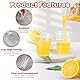 Kleemeiero 100 Trinkbecher 160ML Plastikbecher Kunststoffbecher Bruchsichere Mehrwegbecher Transparent Ausschankbecher Bierbecher Wasserbecher Partybecher Set für Parteien, Hochzeit, Weihnachtstag
