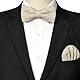 JEMYGINS Fliege Herren Beige in Wolle Kaschmir Einfarbig Filz Geeignet für Herbst und Winter und Einstecktuch Sets(3)