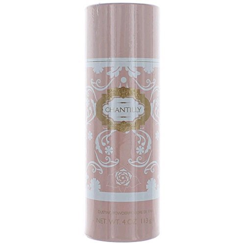 Dana Chantilly Dusting Powder for Women, 4 Ounce Amazon.in Beauty