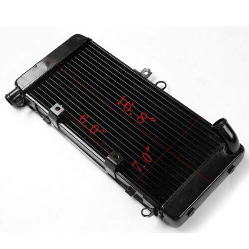 TERAM LOISIRS Radiatore compatibile per Honda CB 900 919 F Hornet 2002 2003 2004 2005 2006 2007/19010-MCZ-003