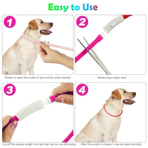 AUAUY LED Light Up Dog Collar - Image 4