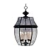 Maxim 6096CLBK, South Park Incandescent Outdoor Hanging Lantern, 5 Light, 40 Watts, Black