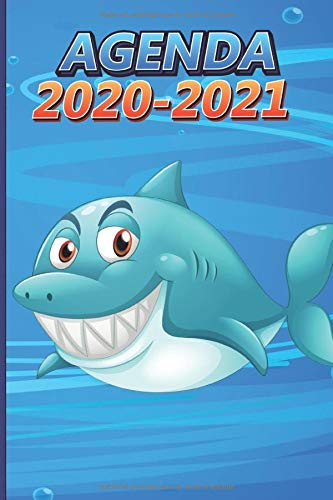 Télécharger Agenda scolaire 2020-2021 : planificateur hebdomadaire avec 1 semaine sur 2 pages | Pour les écolie Livre eBook France