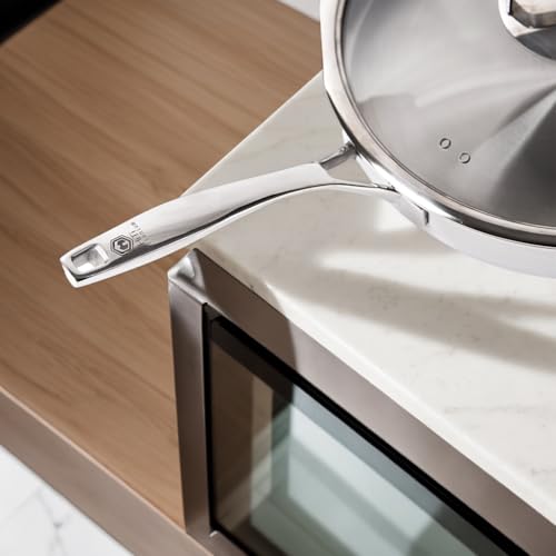 10 Inch Pure Titanium Frying Pan with Glass Lid - Coating-Free & PFOA-Free | 2.5mm Thick Titanium Body | Naturally Easy-Release Surface | Induction/Gas/Oven Safe to 500°F