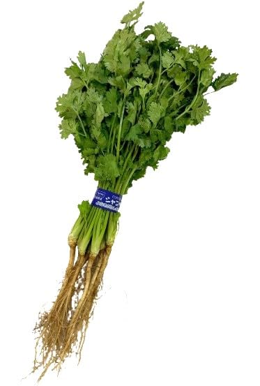 Amazon.co.jp: 【朝市場直行】千葉県ほか コリアンダー パクチー（香菜