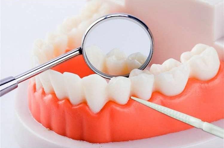 Miniatura 3 de Palillo de dientes cepillado de doble cabeza, cepillo interdental para dentaduras, plástico suave, cuidado bucal de 2.4 pulgadas de largo, enjuague