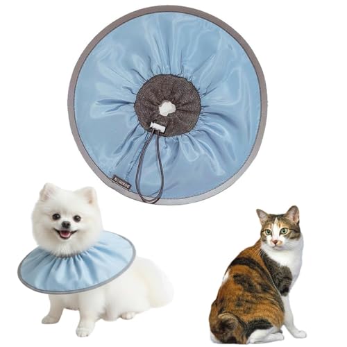 LifetipsWpj[Y{ueCL Wp{uLp GUxXJ[ h \tg y pPA ی Ȃߖh~ p EȒP 􂦂 PAJ[(xr[u[j(Lj