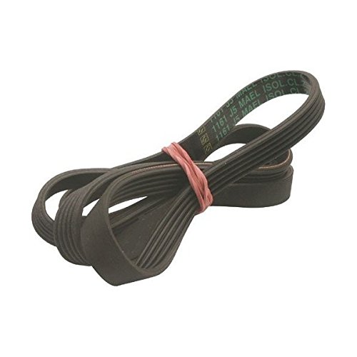 Courroie striée électroménager Hutchinson 1232J5 |5 5 stries | 123
