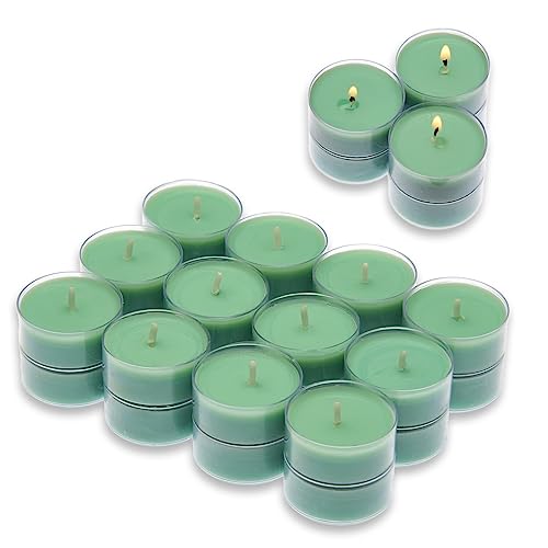 Produktbild von Candelo Scented Tea Lights Winter Forest Set Of 18 - Green, 4h Burning