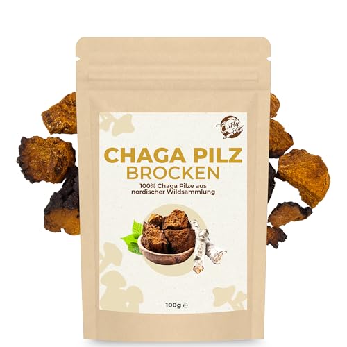 Curly Superfood Chaga Pilz Brocken Wildsammlung 100g - Nachhaltig & Wild gesammelt aus nordischen Wäldern - 3-5cm groß für Pilz Tee & Kaffee - Chaga Brocken in Rohkostqualität