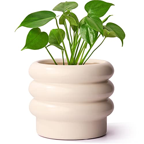 Comparison: Best Pots For Rubber Plants 4 JOFAMY Tiered Bubble Ceramic Plant Pot, Creamy White 6 Inch Ceramic Planter with Drainage Holes, Flower Pot with Mesh Pad, Rubber Plugs, Plante Pots for Indoor Plants Outdoor, Modern Décor
