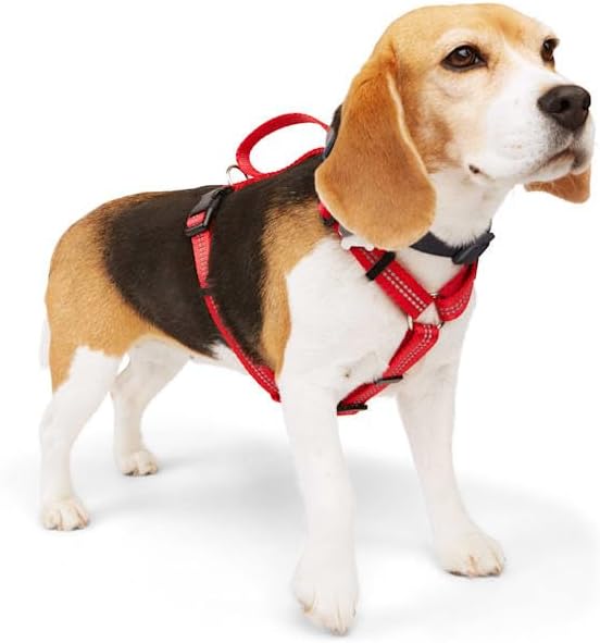 YOULY by Petco Reflective Adjustable Padded Dog Harness Red Medium