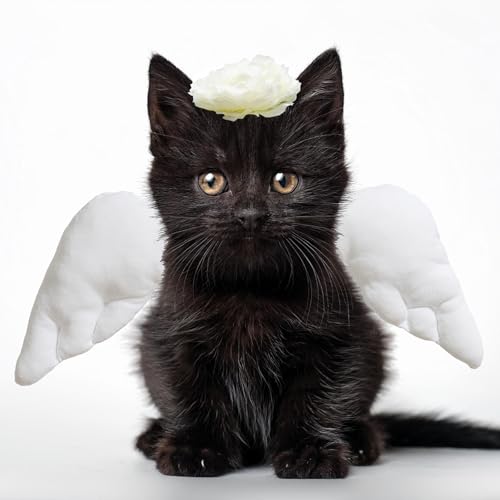 E Babyland PET ANGEL COSTUME SET Pet Angel Wings And Headband Costume Accessory Set Halloween Party & Birthday Party Dress Up Accessories For Cat Small Dogs Puppy Kitty Kitten Boy Or Girl thumb #8