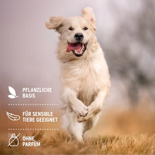 AniForte Ohren Reinigungspads für Hunde & Katzen 100 Stück – Besonders weiche & milde Reinigungstücher für die Ohrenhygiene, sanfter Ohrenreiniger zur Pflege & Reinigung