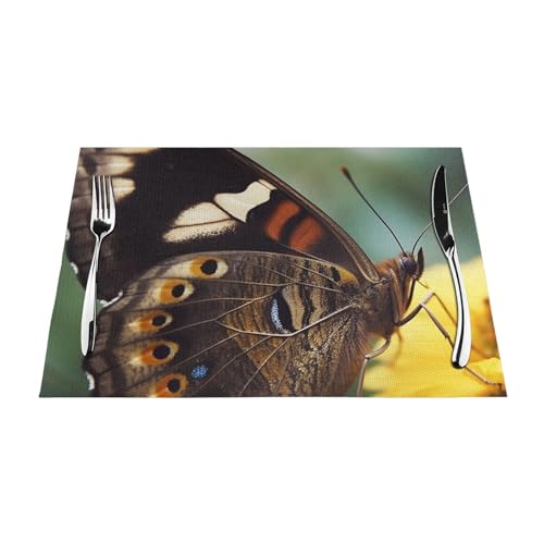 Sets de table antidérapants et résistants à la chaleur en vinyle lavable pour salle à manger