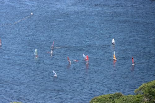 y{̕i|XgJ[hz_ސ쌧sEChT[tB2025̃nKL͂ photo by MIRO