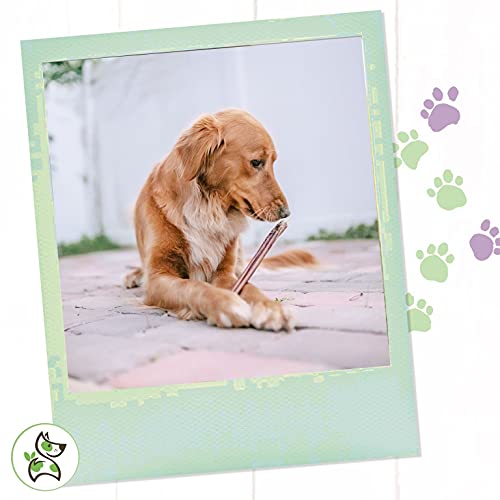 Nature Gnaws BULLYSTICKS12IN8OZ Bully Sticks For Dogs 11-12 Inch thumb #6