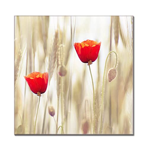 Banjado® Glas Magnettafel 60x60 Cm Mit Klatschmohn Motiv – Beschreibbar & Magnetisch