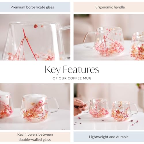 Image of Nestasia Double Wall Glass Mug with Dried Flowers Set of 2 (180ml Each) - Transparent Borosilicate Floral Glass Tea Cups | Lightweight & Durable Coffee Mugs - Perfect for Gifting (Pink)