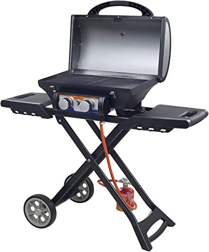 JHLXYXMY BBQ Grill Outdoor Charcoal grills Appearance Outdoor Gas Grill,two Burners Gas Grill Gas Grill,outdoor Grill