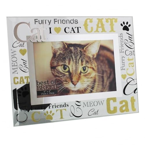 Best of Breed BB248 - Cornice portafoto in vetro 3D, motivo: gatto, 15 x 10 cm