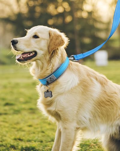 Image of Joytale Dog Collar for Large Dogs, Neoprene Padded and Adjustable, Reflective Wide Heavy Duty Pet Collars with Durable Metal Belt Buckle for Walking, Sky Blue, L