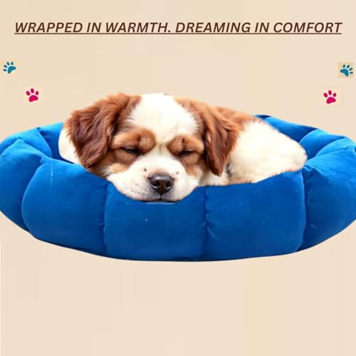 Image of Round Donut Pet Bed for Cats and Puppies Dogs mat, Cozy and Plush, Raised Bedside Support, Both Sides Use Like 2 in One, Washable, Dog Bed, Sizes for Small, Medium, and Large Pets