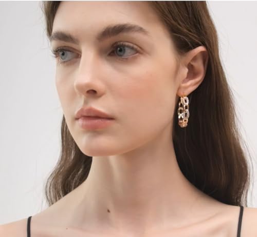 Gemini Women's Jewelry Gold Plated Hoop Pierced Earring for Women Valentine's Day Gifts Gm039Rg 4cm4