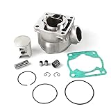 DAYSYORE YZ85 Cylinder Piston Ring Gasket Bore 47.5mm Fit for Yamaha YZ85 2002-2018 Motorcycle Engine Aftermarket Part