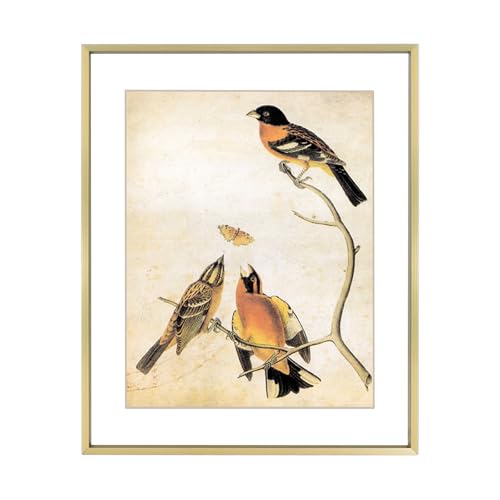 BKABOT 10x12 Picture Frame, Brass Aluminum Metal Photo...