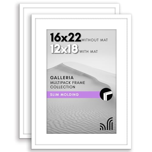 Americanflat 16x22 Poster Frame 2-Pack - Matted to 12x18 - White