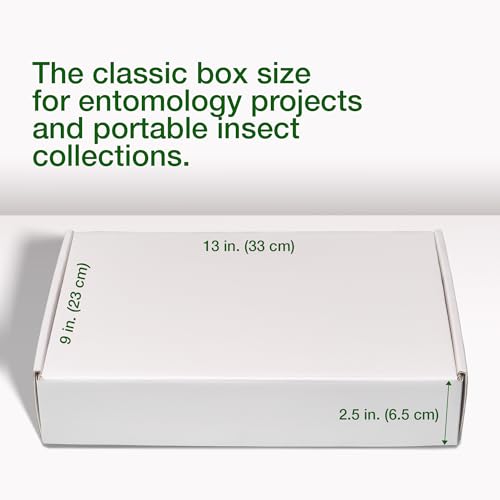 Insect Pinning Box for Entomology | 13