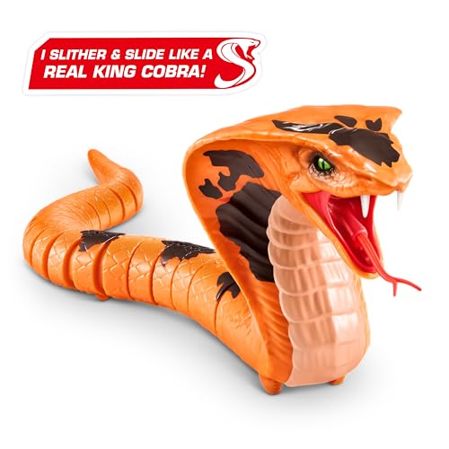 Robo Alive King Cobra von ZURU, Spielzeug-Schlange batteriebetrieben, realistische Schlangenmerkmale