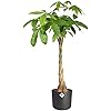 Product Photo 9