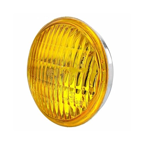 gCg oCNpLED⏕ I[g ɓK_Ci ɓK\teC ɓKX|[cX^[ XL883 4.5C` I[goCpKXY }`˃CT[gwbhCg KXwbhCgO[u(Clear)